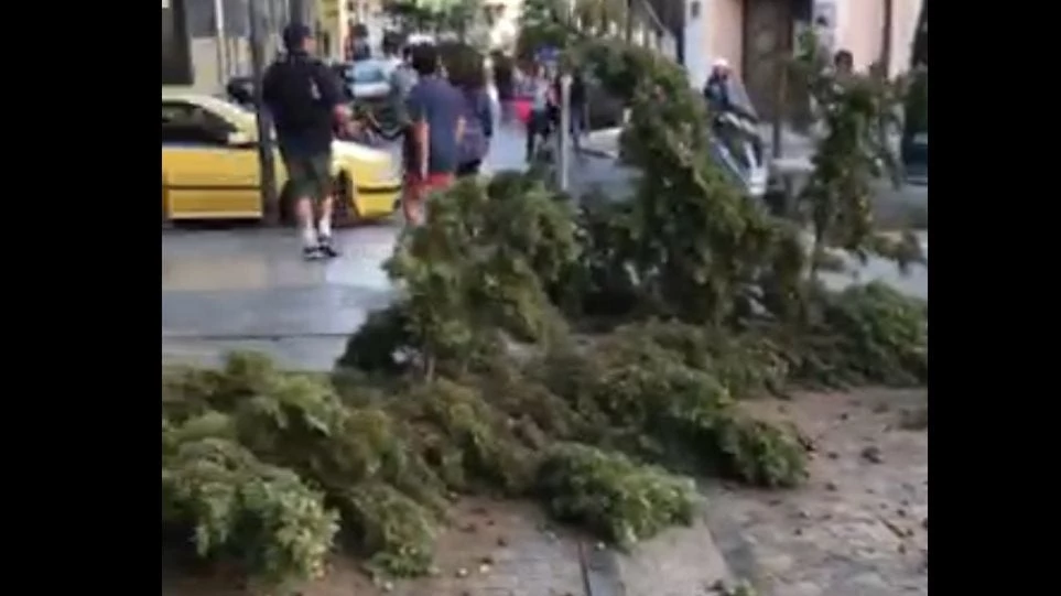 Ο «Ξενοφών» ξεριζώνει… δέντρα στο Μοναστηράκι (βίντεο)